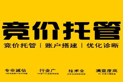 精准投放，高效转化：关键词竞价排名案例解析